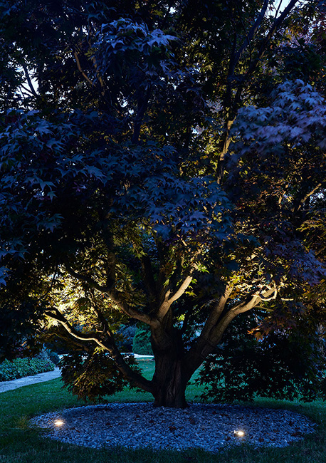 Jardín de una vivienda particular