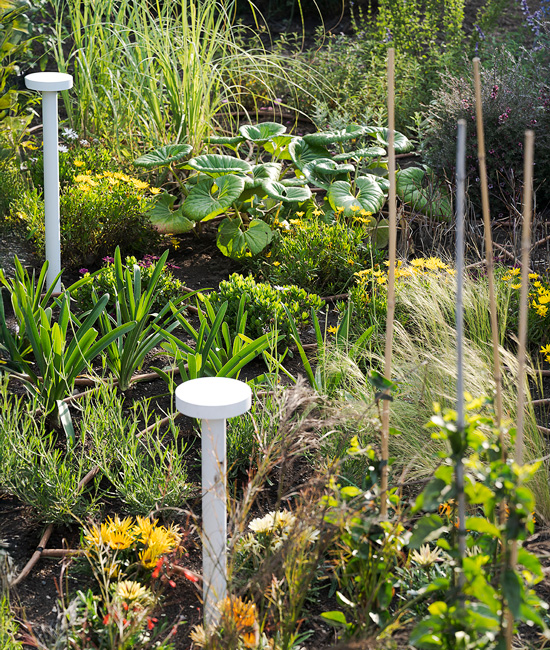 Illuminazione The Rambunctious Garden - Radicepura