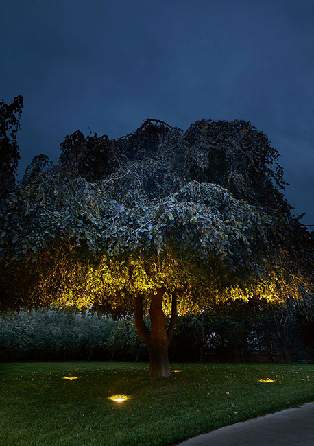 Jardin d'une habitation privée