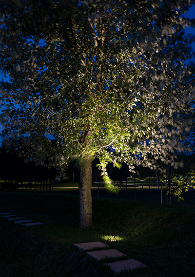 Arboretum Parma