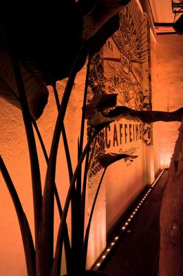 Neva 5, RGB, 20W / 30W / 50W, 15°, avec étriers. Art & Caffeine, Faema Flagship Store, Milan, Italy. Project & Light planning by traverso-vighy architetti. Photo by Alessandra Chemollo