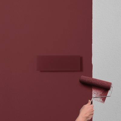 Berica IN 2.1, Version mit Primer, mit Wandfarbe gestrichen