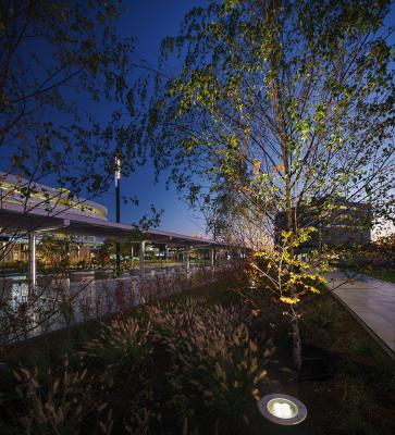 Stra 2.0, 3000K, 25W, 30°, with honeycomb louvre, IP68 outer casing. Boulevard Eindhoven Airport, Eindhoven, The Netherlands. Project by Eindhoven Airport BV, light planning by Har Hollands Lichtarchitect, landscape design by MTD landscape architects, delivered by Industrielicht BV