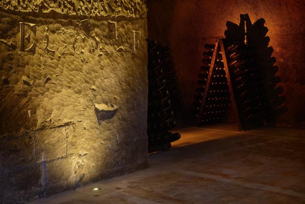 Bright 2.4, customized version with colour temperature of 2200K, 5W, 13°x52°. Caves Champagne Joseph Perrier, Châlons-en-Champagne, France. Project by Thiénot Architecture, Light planning by Lumesens, Photo by François Guillemin