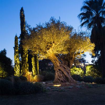 Stra 4.0, 2700K, 25W, 37°, with honeycomb louvre. National Archaeological Museum gardens, Athens, Greece. Light planning by NeaPolis Lighting, landscape design by Ecoscapes Landscape Architecture, photo by Anastasia Siomou