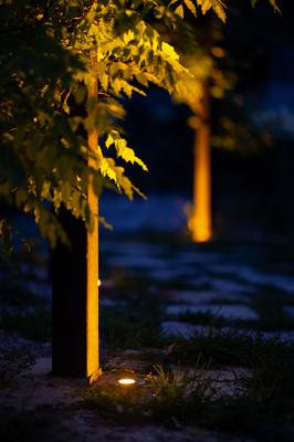 Bright 2.4, customized version with amber LED colour, 5W, 11°,  with honeycomb louvre. Japanese Garden, Athens, Greece. Light planning by NeaPolis Lighting, Landscape design by Ecoscapes Landscape Architecture, Photo by Anastasia Siomou.