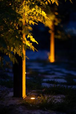 Bright 2.4, versión especial con color LED ámbar, 5W, 11°, con rejilla panal de abeja. Jardín Japonés, Atenas, Grecia. Light planning by NeaPolis Lighting, Landscape design by Ecoscapes Landscape Architecture, Photo by Anastasia Siomou.