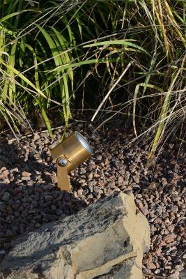 Ginko 2.0, 3000K, 3.5W, 5°, brass