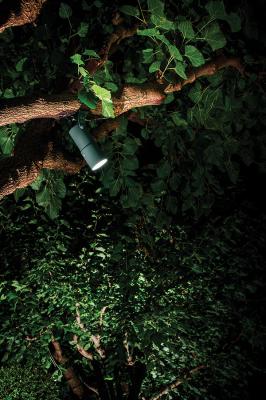 Spot 2.4, 3000K, 8W, 58°, verde minerale, con cannocchiale standard e cinghia di ancoraggio