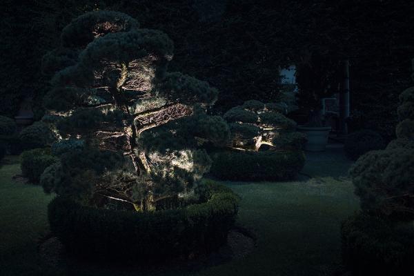 Ginko 2.0 // 4000K, 7W, 68°, jasper green