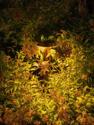 Plin 6.2, 2200K, 14W, circolare asimmetrica, finitura custom