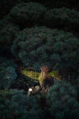 Ginko 2.0, 4000K, 7W, 68°, verde minerale, canocchiale standard, picchetto per installazione a terra