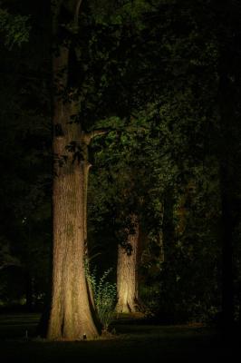 Ginko 2.0, 3000K, 7W, diffusa, verde minerale