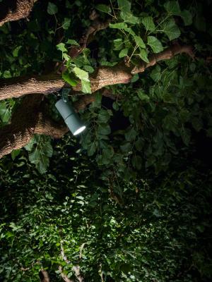 Spot 2.4, 3000K, 8W, 58°, verde minerale, con cannocchiale standard e cinghia di ancoraggio