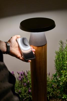 Olo Wood 1.1, 2200K, 14W, 180°, anthrazit + Teakholz