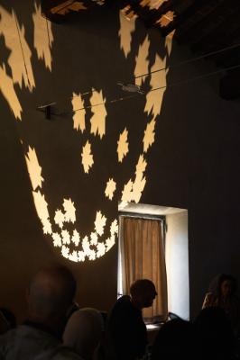Ginko 4.5, 3000K, 25W, light shaper, gobo custom