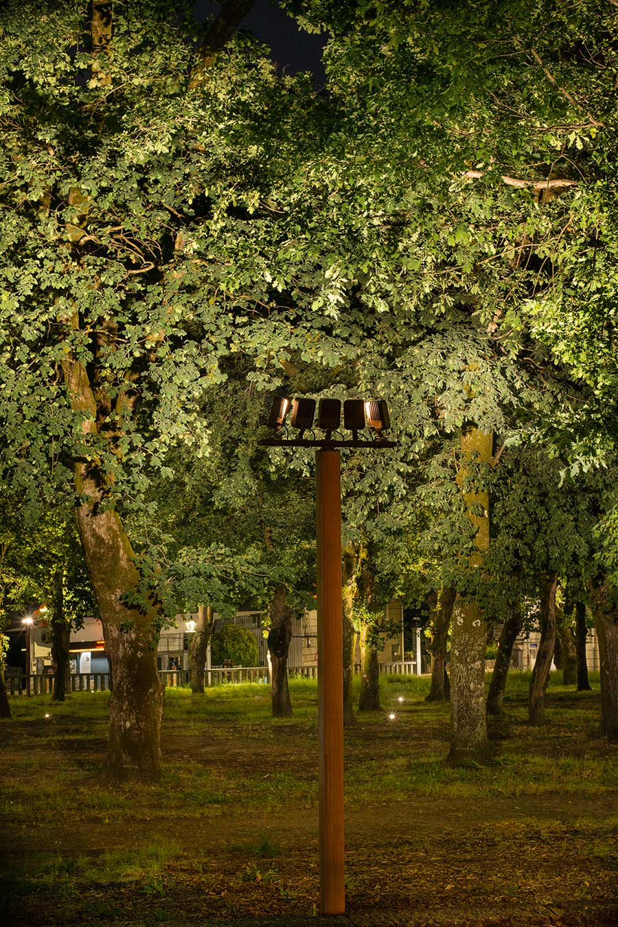 Illuminazione Carballeira de Moraña