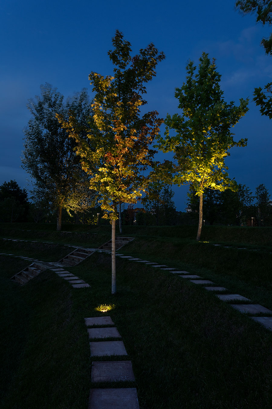 Lighting Crédit Agricole Green Life – Arboretum Park