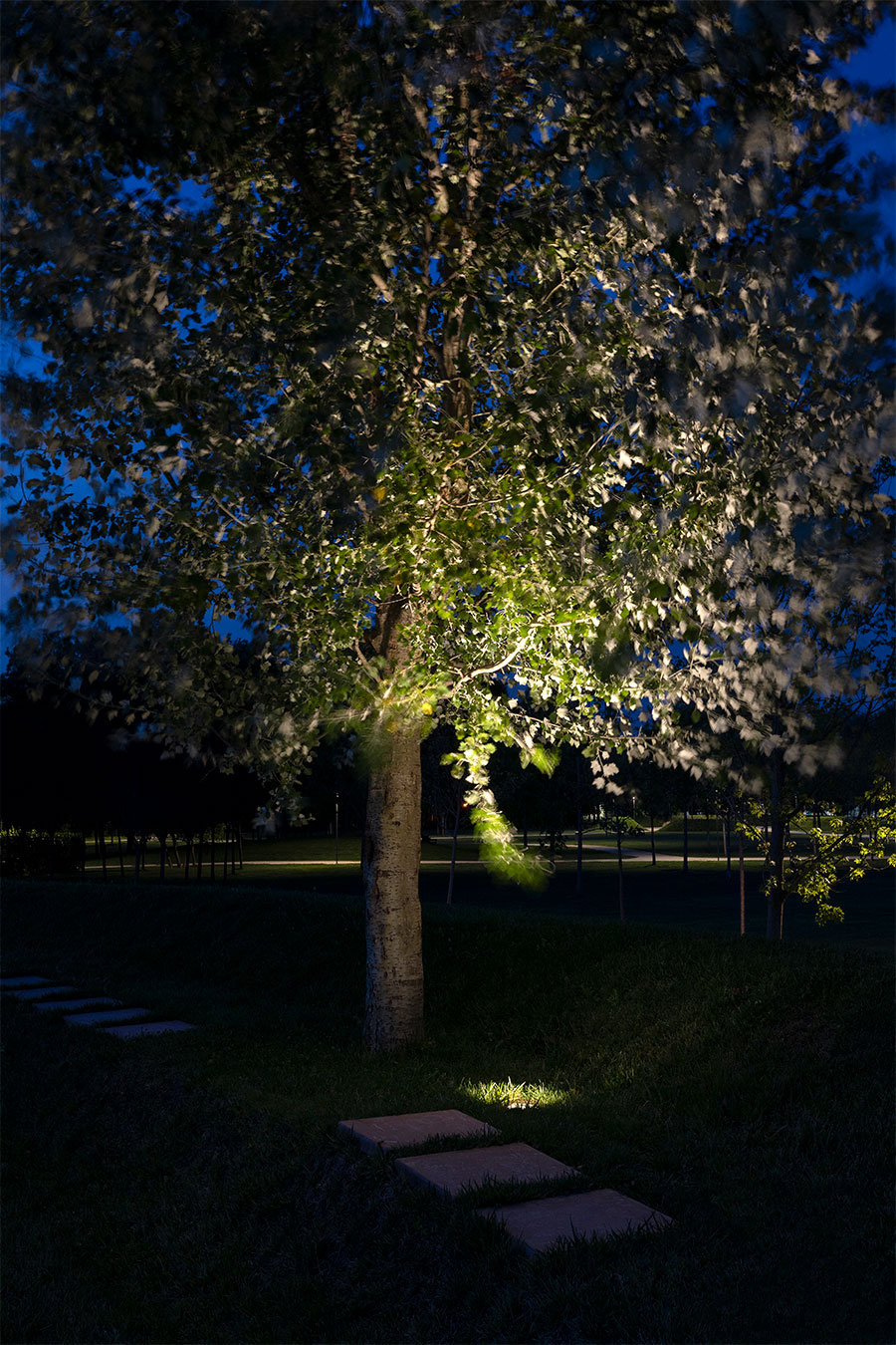 Iluminación Parque Arboretum de Crédit Agricole Green Life