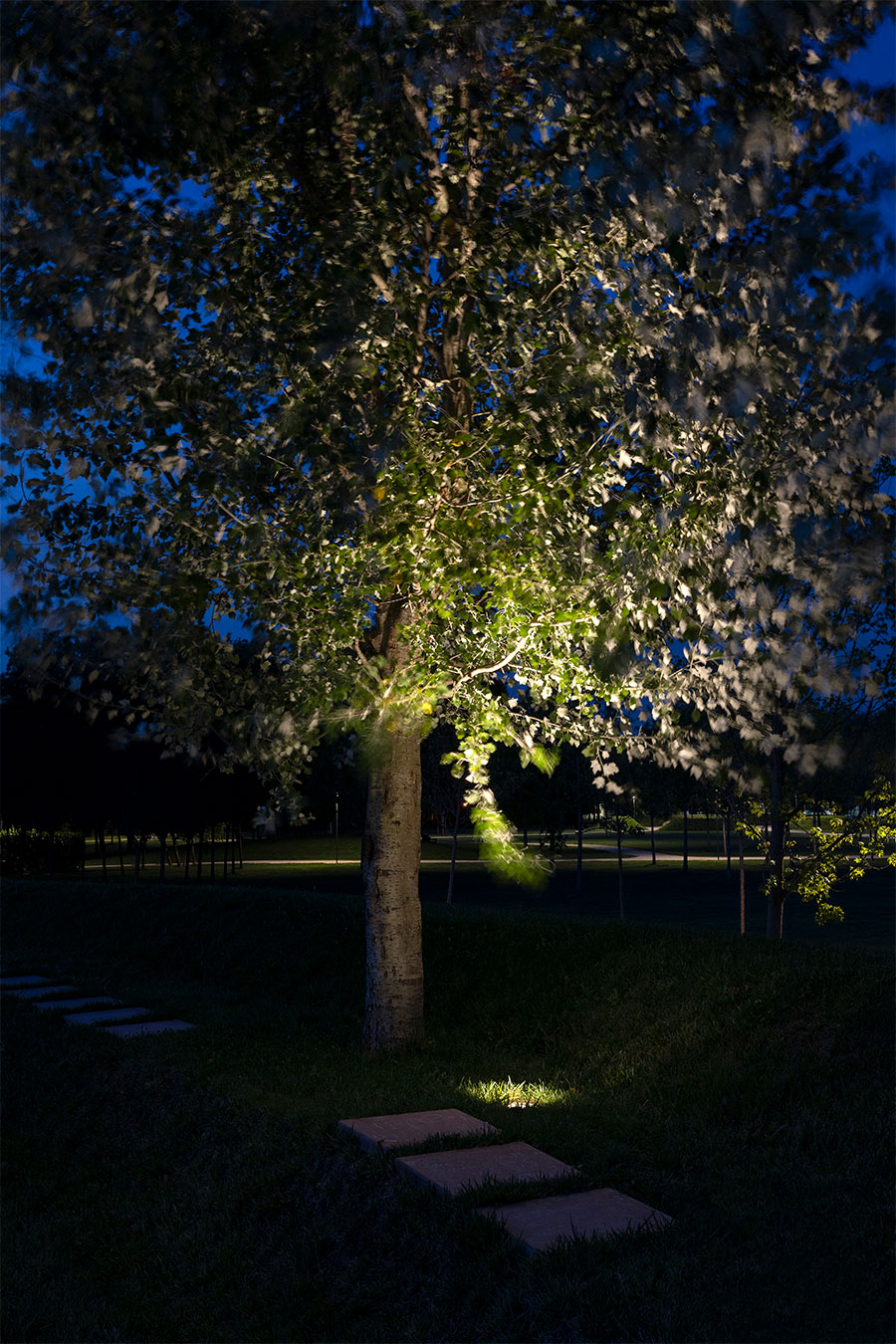 Parco Arboretum von Crédit Agricole Green Life Beleuchtung