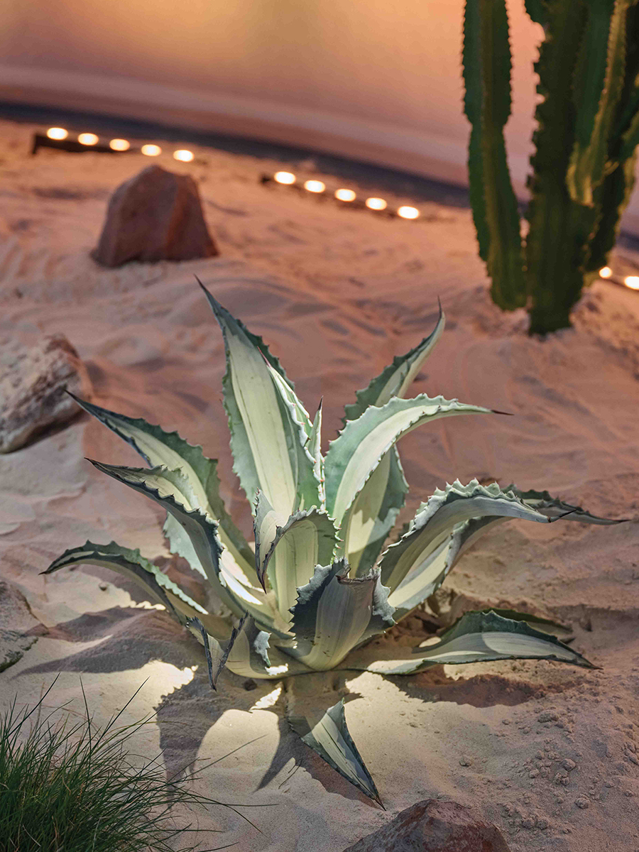 Iluminación Extreme Dimensions - Light+Building 2026