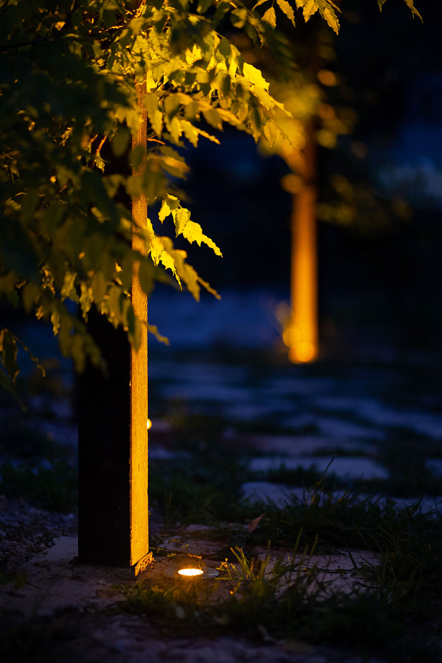 Éclairage Jardin Japonais