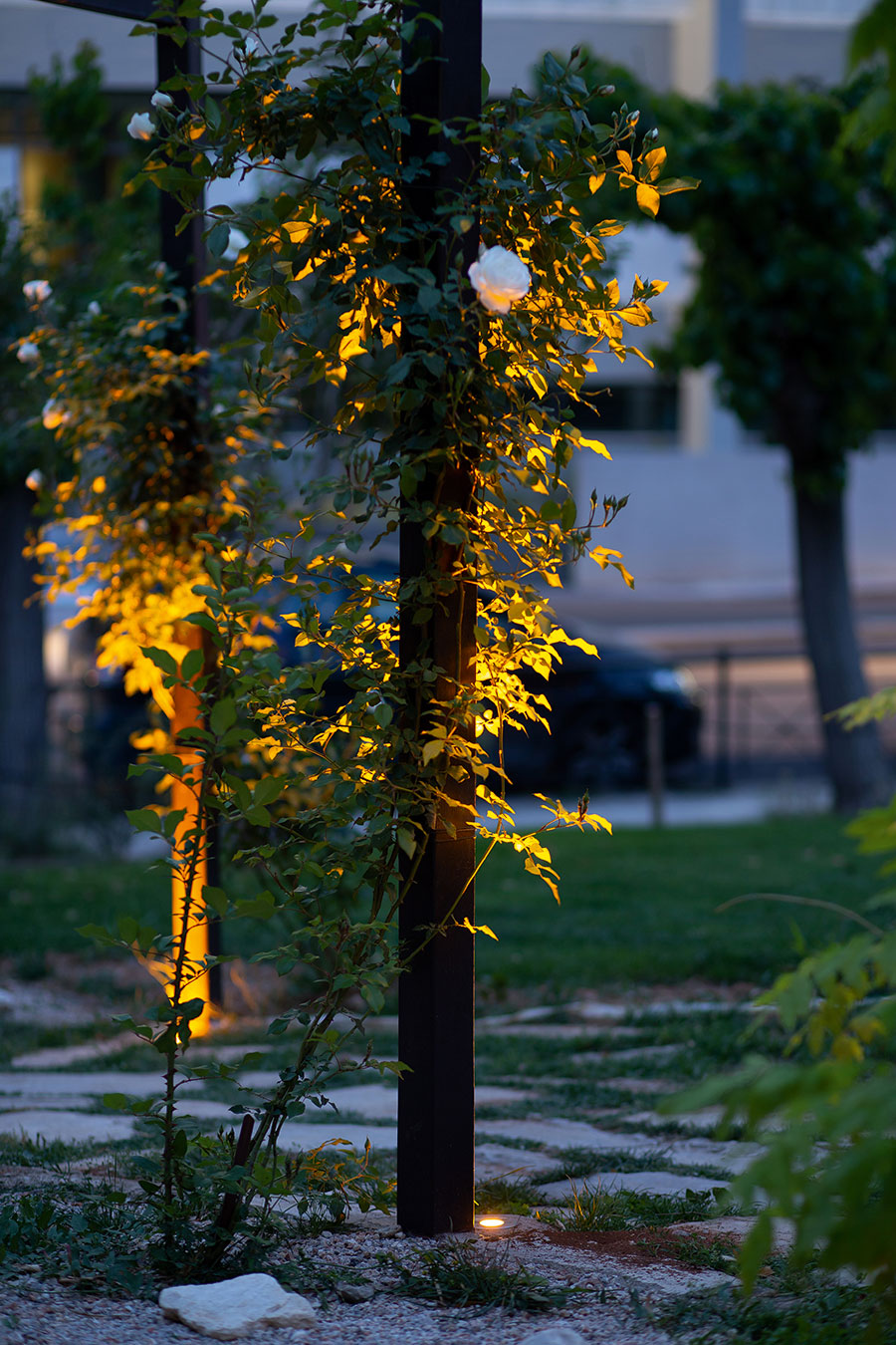 Iluminación Jardín Japonés