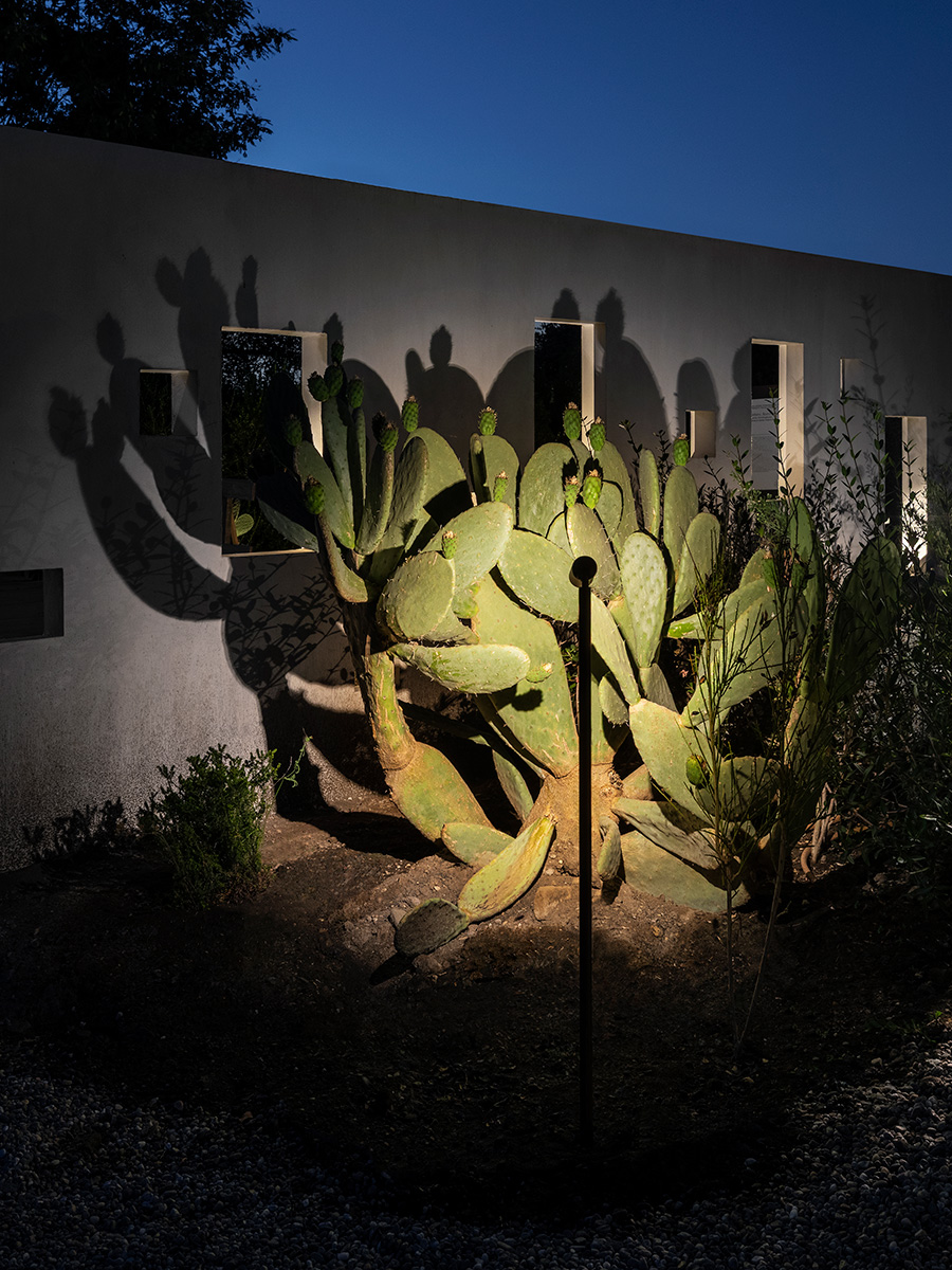 Éclairage Radicepura Garden Festival 2025