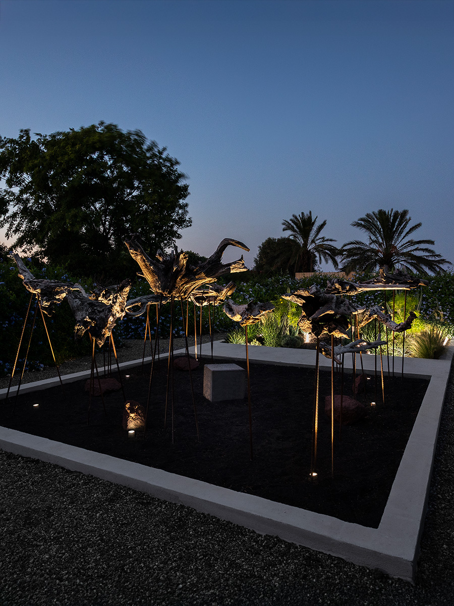 Éclairage Radicepura Garden Festival 2025