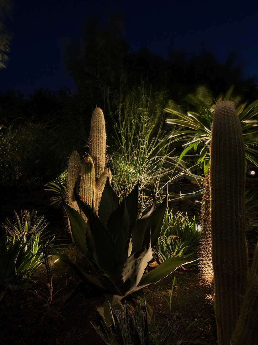 Éclairage Radicepura Garden Festival 2025