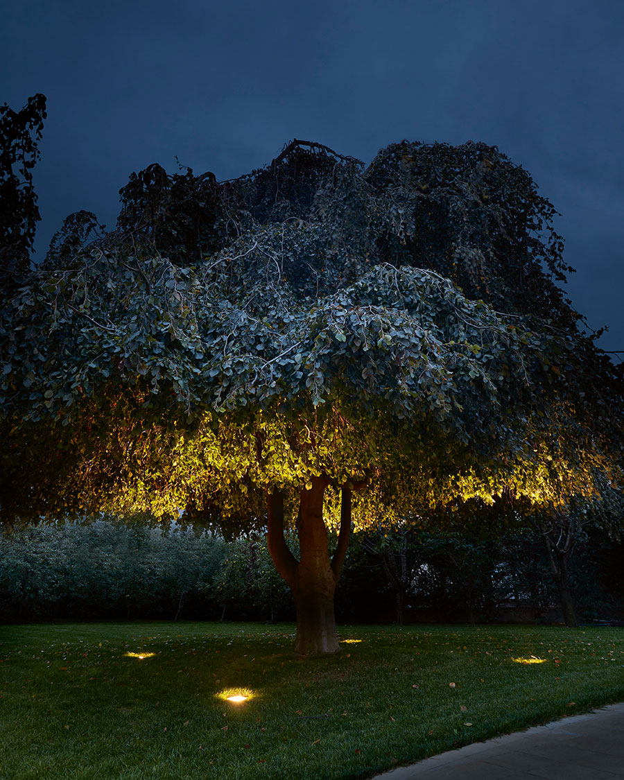 Lighting The garden of a private residence