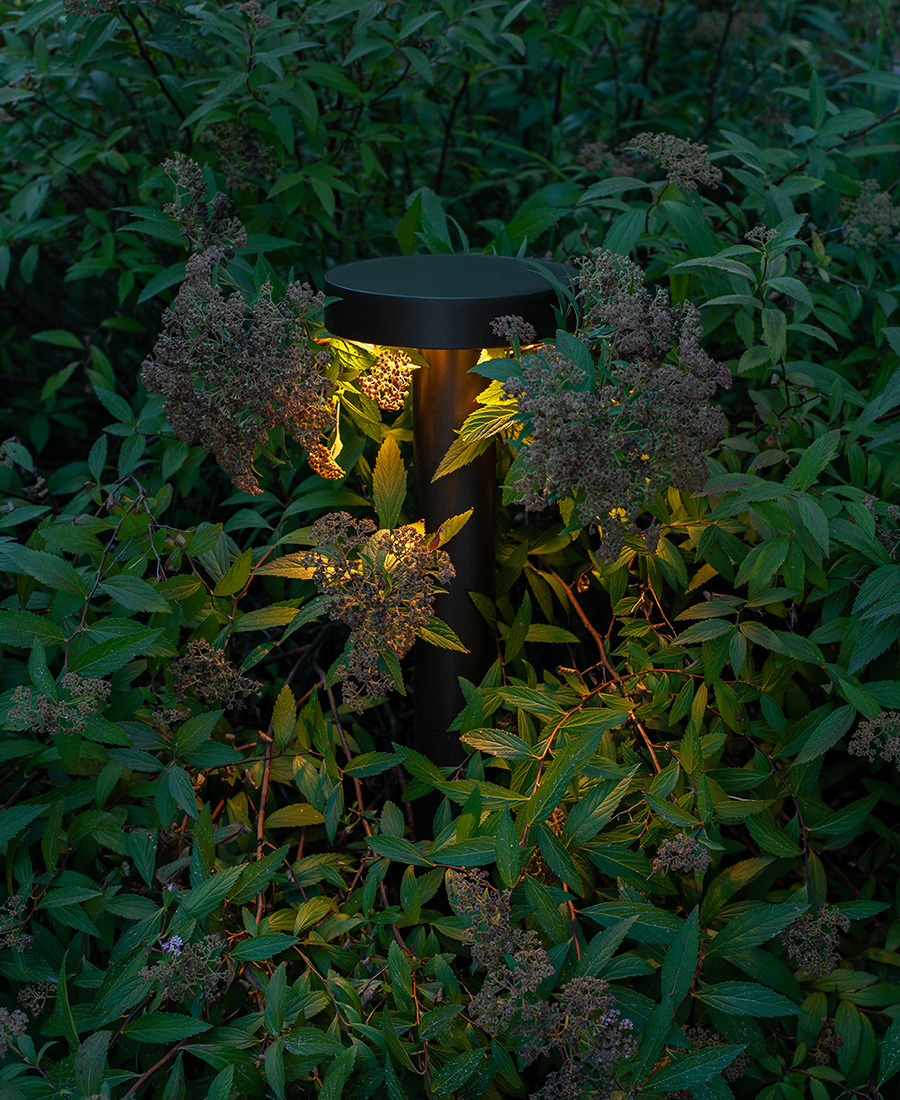Iluminación Jardín del Palazzo Schifanoia, Ferrara
