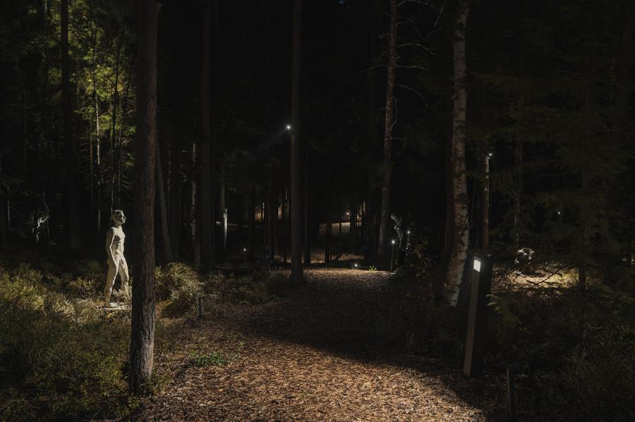 Lighting The Sculpture Forest, The Well spa & hotel