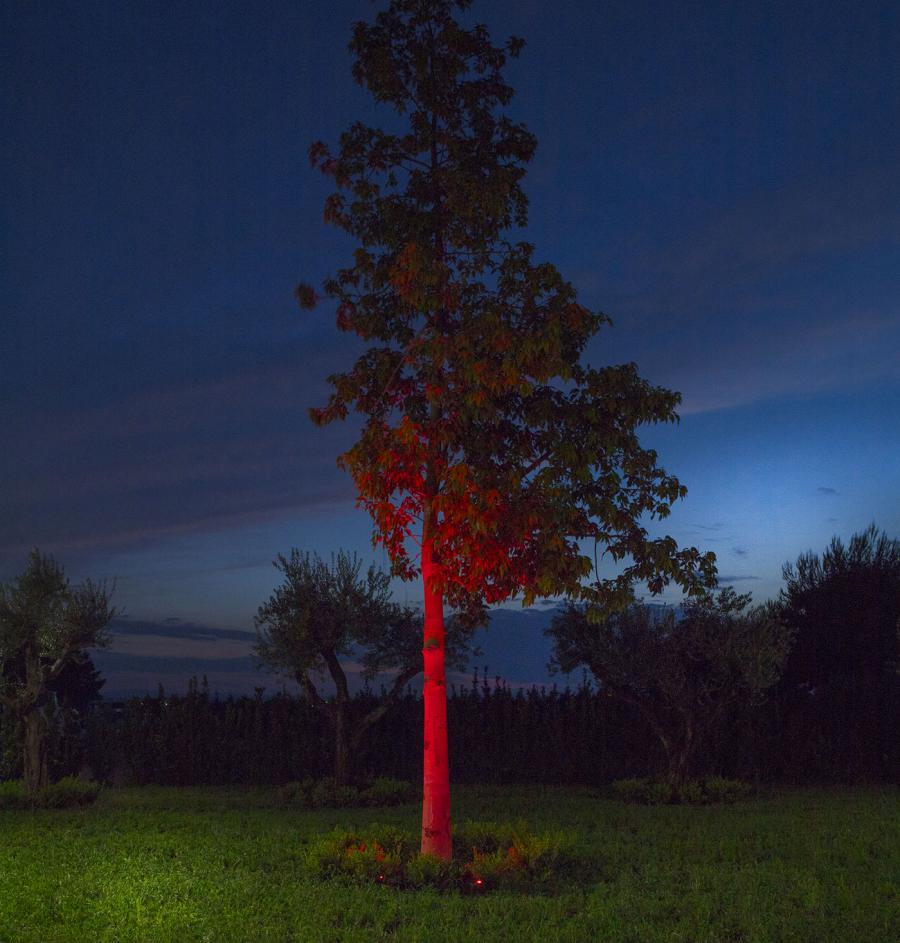 Illuminazione Villa Reale Ricevimenti