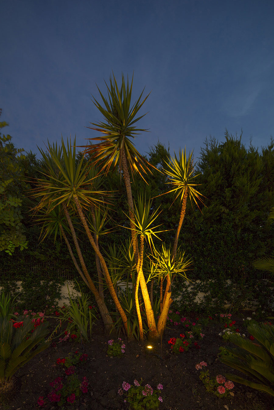 Lighting Villa Reale Ricevimenti